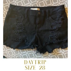 Distressed Daytrip Shorts